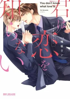 Kimi wa Koi wo Shiranai cover