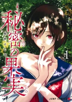 Himitsu no Kajitsu cover