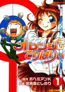 Orange Delivery cover
