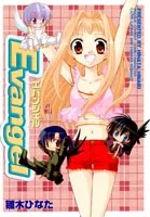 Evangel cover