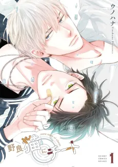 The Stray Cat's Cheat cover