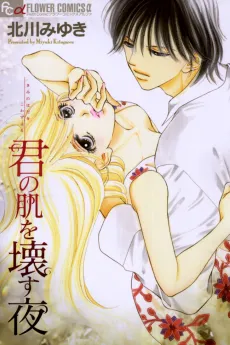 Kimi no Hada wo Kowasu Yoru cover