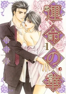 Unmei no Hana cover