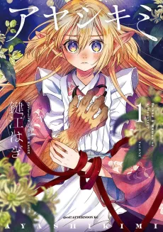 Ayashikimi cover