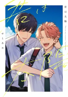 Kimi wa Taiyou cover