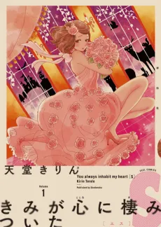 Kimi ga Kokoro ni Sumitsuita S cover