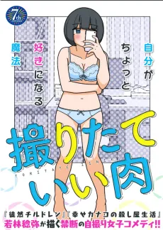 Toritate Ii Niku cover