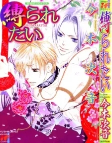 Shibararetai cover