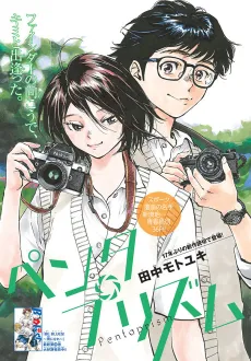 Pentaprism cover