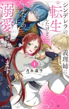 Cinderella no Giri Ane ni Tensei Shita kedo Futari no Ouji ni Dekiaisareteimasu cover
