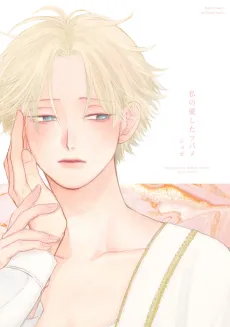 Watashi no Aishita Tsubame cover
