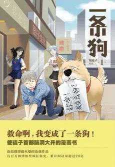 Yi Tiao Gou cover