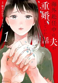 The Story of My Husband's Overseas Bigamy cover