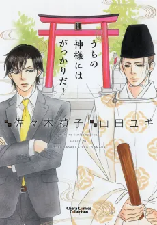 Uchi no Kami-sama ni wa Gakkari da! cover