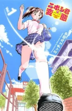 Niboshi-kun no Hentai cover