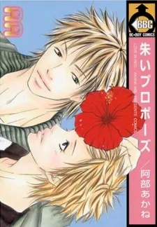 Akai Propose cover