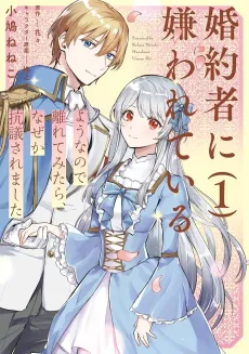 Konyakusha ni Kirawareteiru You na node Hanaretemitara, Nazeka Kougi Saremashita cover