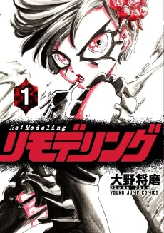 Re:Modeling cover