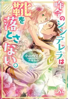Sakkon no Cinderella wa Kutsu wo Otosanai. cover