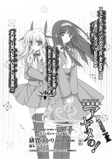 Otome Kakumei Ayameno! Gaiden cover