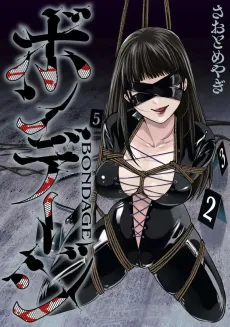 Bondage cover
