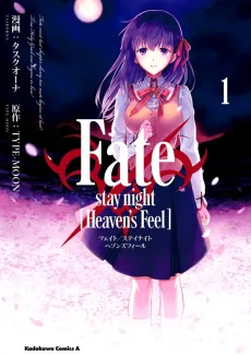 Fate/stay night [Heaven's Feel] cover