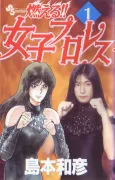 Moeru!! Joshi Puroresu cover