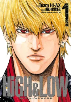 High & Low: The Story of S.W.O.R.D. cover