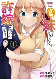 Omae Imouto ja Nakute Iinazuke datta no kayo!? cover