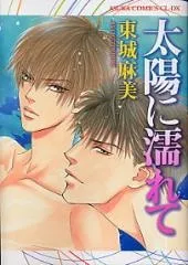 Taiyou ni Nurete cover
