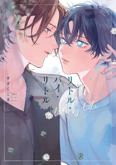 Little by Little cover