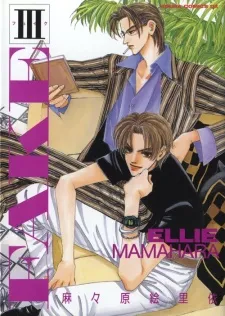 Fake cover