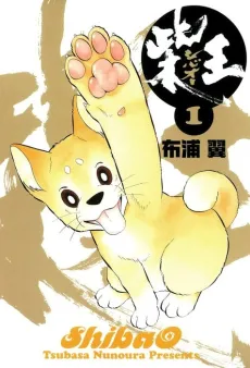ShibaO cover