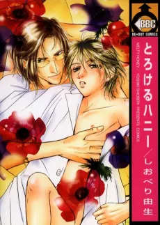 Torokeru Honey cover