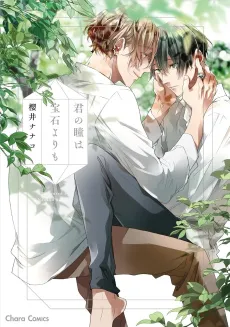 Kimi no Hitomi wa Houseki Yori mo cover