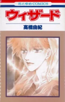 Wizard cover