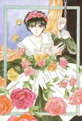 Thief of Rose cover