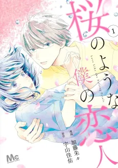 Sakura no Youna Boku no Koibito cover