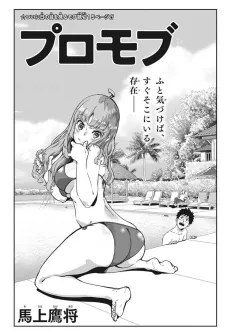 Promob cover