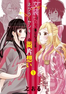 Crossplay Love: Otaku x Punk cover