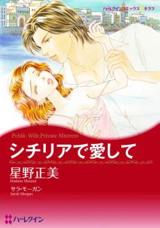 Public Wife, Private Mistress cover