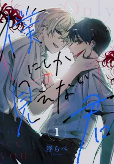 Boku ni shika Mienai Kimi cover