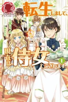 Tensei Shimashite, Genzai wa Jijo de Gozaimasu. cover