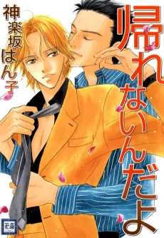 Kaerenaindayo cover