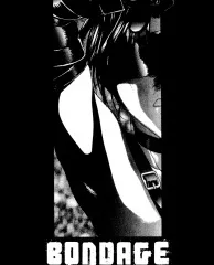 Bondage cover