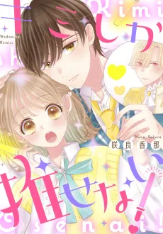 Kimi Shika Osenai! cover