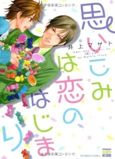 Accidental Love cover