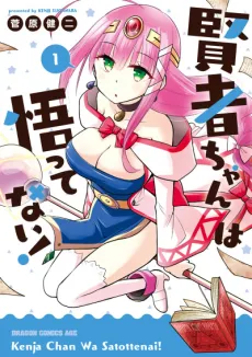 Kenja-chan wa Satottenai! cover