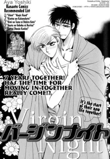 Virgin Night cover