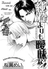 Junsui yori mo Aimai na cover